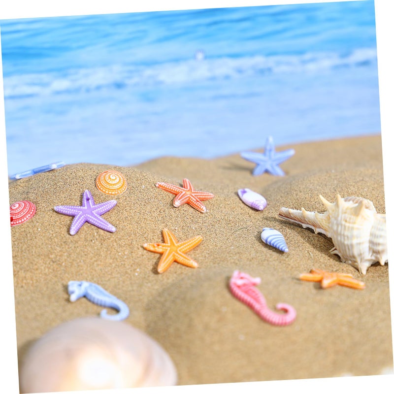 TENDYCOCO Mini Beach Seashells Sea Star Seahorse Natural Conch for Home Decorations Beach Theme Party Wedding DIY Crafts Fish Tank Vase Fillers Bonsai Decor 48pcs - Image 3